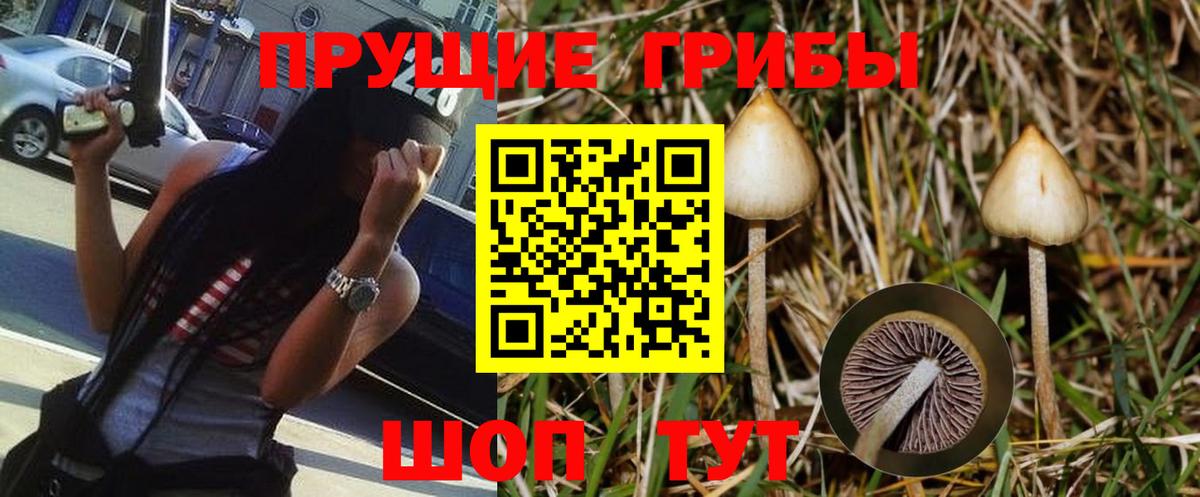 Псилоцибиновые грибы Psilocybe  цены наркотик  Кимовск  Вход с VPN 